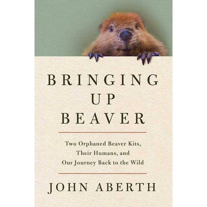 Bringing Up Beaver by John Aberth for wholesale by Simon & Schuster