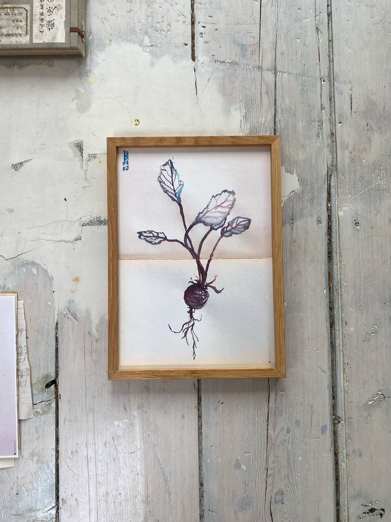 tinystories - Wholesale Art Print - Art Print "Beetroot"