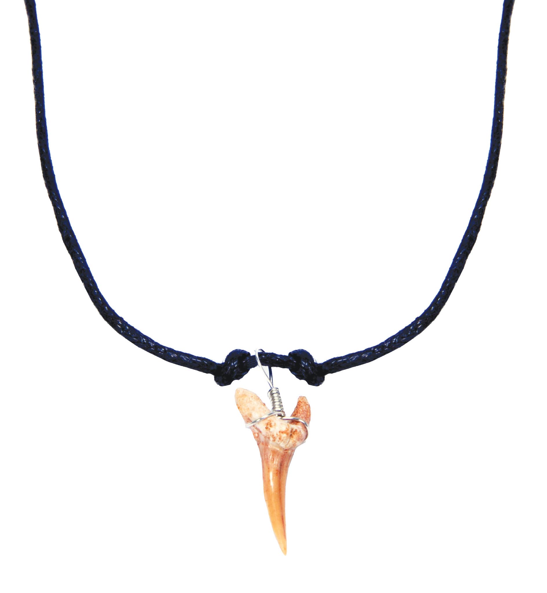 Pawnee Bill’s - Wholesale Pendant/Charm Necklace - Shark Tooth Necklace0