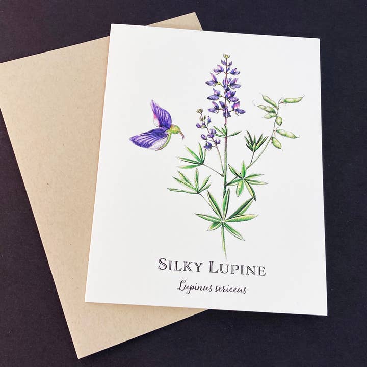 Lupine Greeting Card for wholesale by Madrona Press