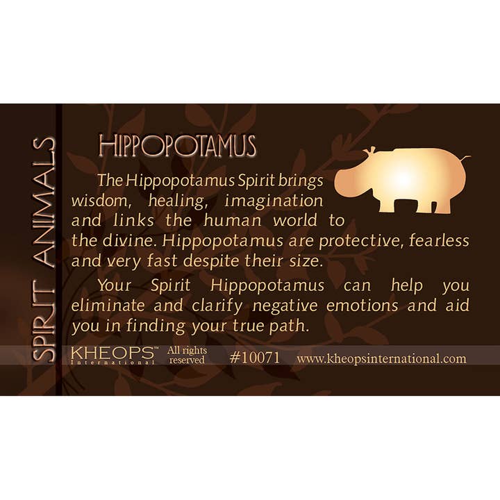 Spirit Animal Info Card Hippo (Each) for wholesale by Kheops International