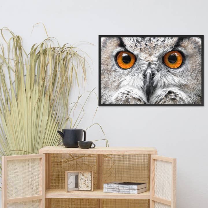 Pipa Wall Art & Home Decor - Wholesale Art Print - Close-up Yellow Owl Eyes Animal Wildlife Framed Wall Art5