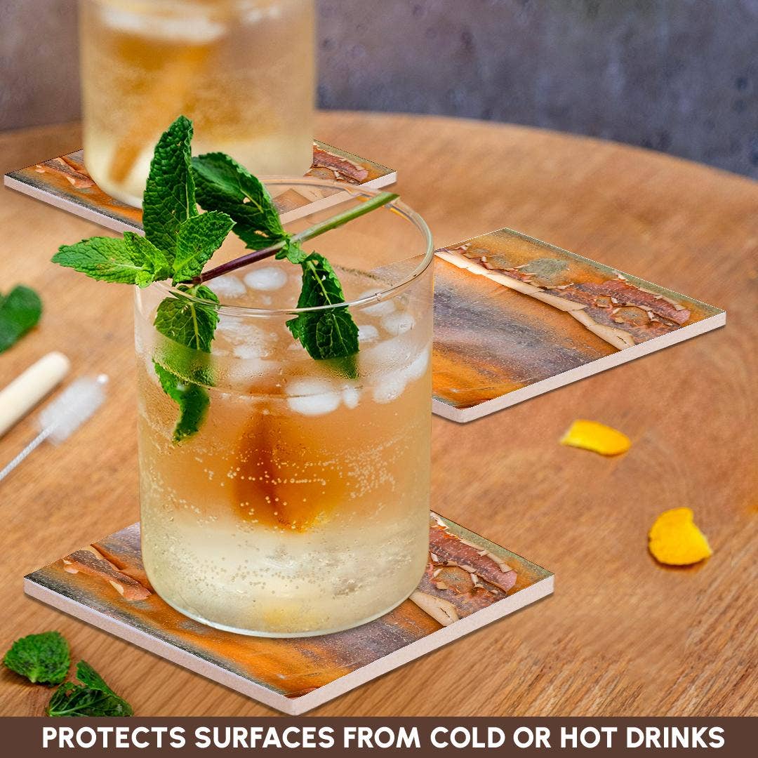 3dRose - Wholesale Coasters - 3dRose, USA, Washington State. Bellevue Botanical garden and tree bark, Coaster2