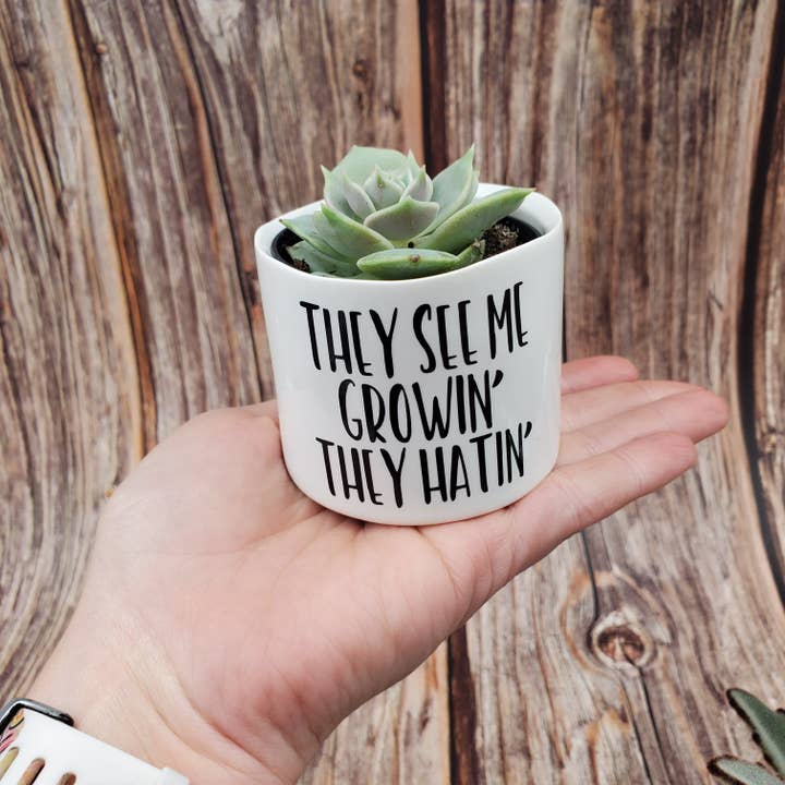 Blooms n rooms - Wholesale Plant Pot - Punny Plant Pots