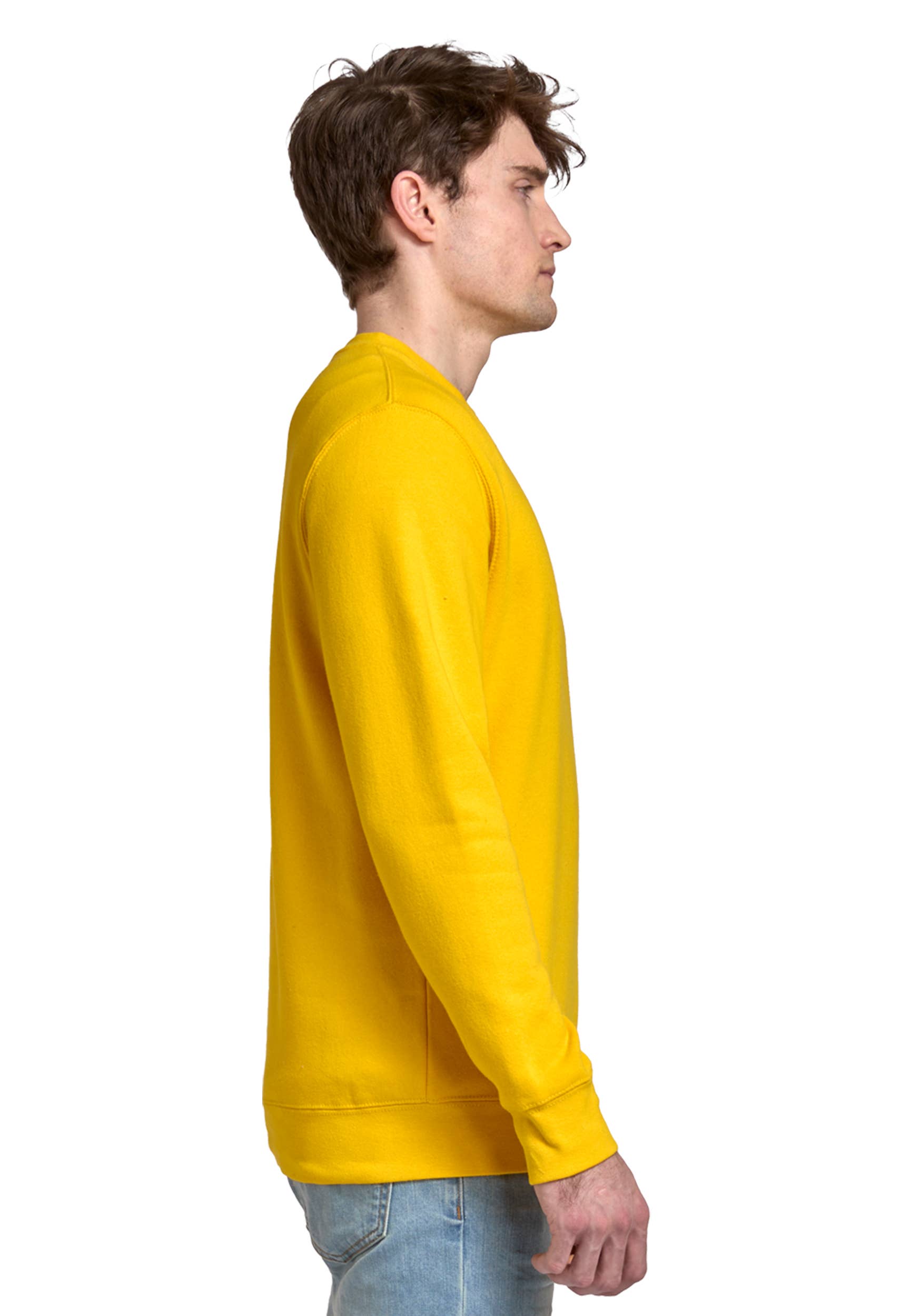 Lane Seven Apparel - Wholesale Sweatshirt - Unisex - Premium Crewneck Sweatshirt - For Men & Women99