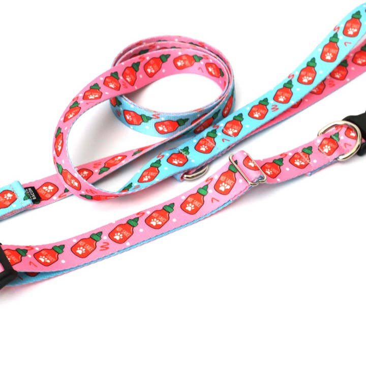 Pawsome Sauce 2-farbiges Hundehalsband und Leine für den Großhandel von Clive and Bacon, LLC