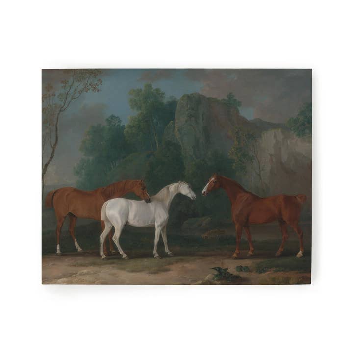 Trois Chevaux | Impression d'art pour la vente par Lindsay Letters