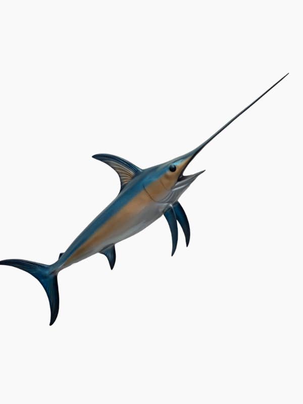 Mur de l'espadon pour la vente par Bluewave Fish Mounts