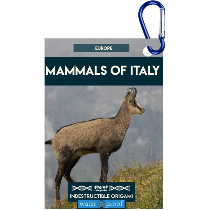 Säugetiere Italiens-Unzerstörbares Origami für den Großhandel von Flexi Field Guides