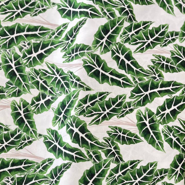 plantyintroverts - Wholesale Wallpaper - Modern Botanicals by Living Pattern - Alocasia leaves fabric1