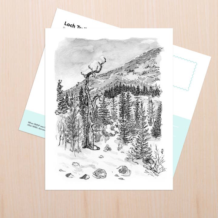 Rocky Mountain State Park Art for wholesale by Coy Ink Studio