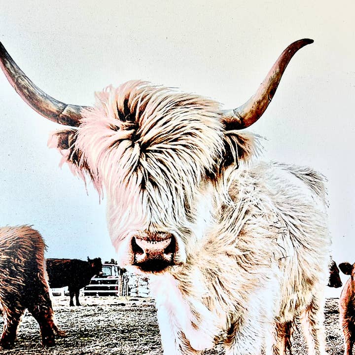 Simply Stained Shop - Wholesale Sign - Denarys and calves Black White Highland Cow2