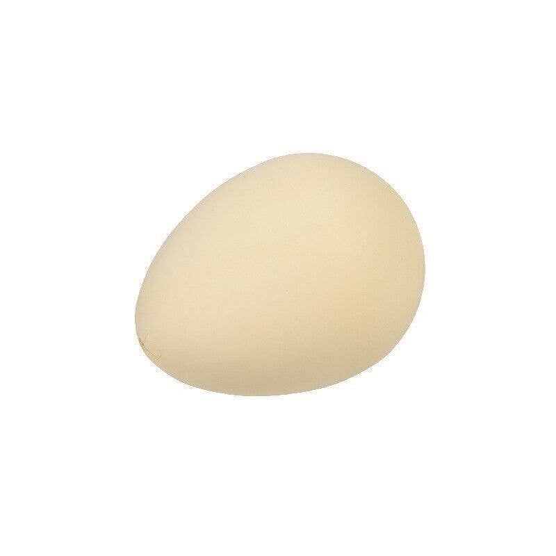 Rex B2B - UK – wholesale Classic toy – Kids – Hatch Your Own Dinosaur Egg2