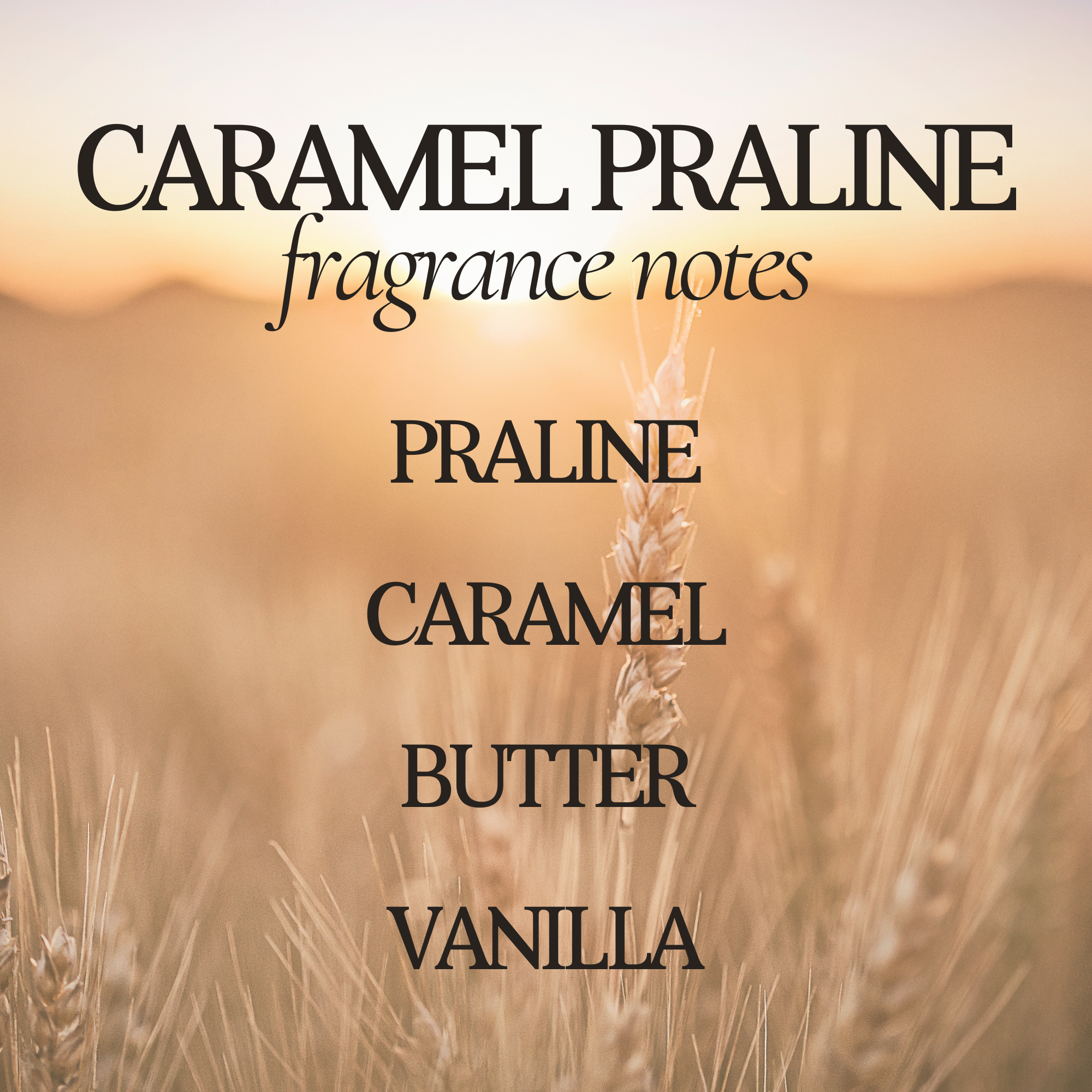 Rustic Rays Candle Co. - Wholesale Jar/Filled Candle - Caramel Praline 12 oz Soy Candle - Fall Home Decor & Gifts3