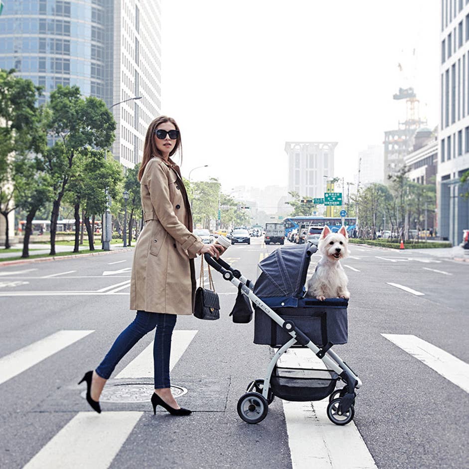 Ibiyaya - Wholesale Pet Carrier - Cat/Dog - CLEO Travel System Pet Stroller Medium Luxury Pram11
