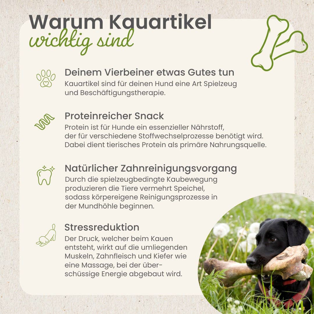 Kauartikel.com GmbH - Wholesale Pet Bone/Rawhide - Dog - buffalo skin, twisted4
