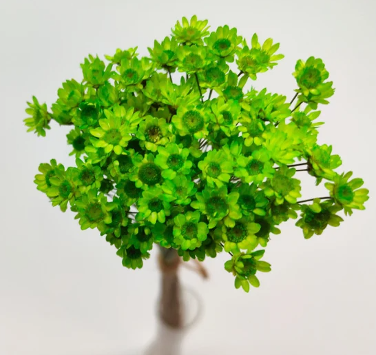 .AVPV. Studio - Wholesale Artificial Flowers - Glixia mini star flowers10