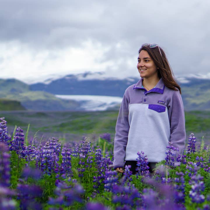 Whitworth Gallery - Wholesale Plant Seeds - Alaskan Lupin Wildflower Seed Packets7