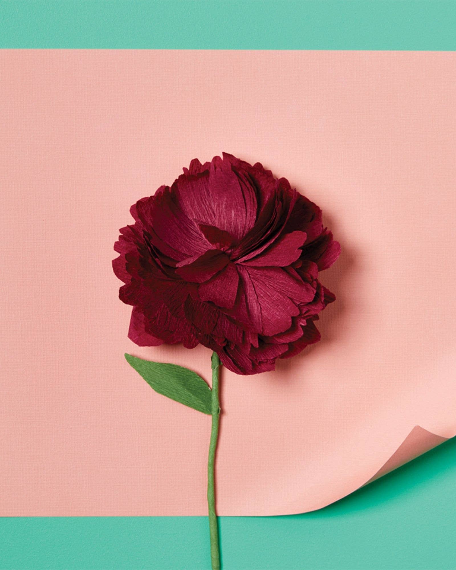 Journey of Something USA - Wholesale DIY Craft Kit - Paper Flower Making Craft - DIY Adult Craft Kit10