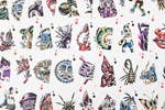 Chronicle Books - Wholesale Playing Cards - Tattoo Playing Cards5