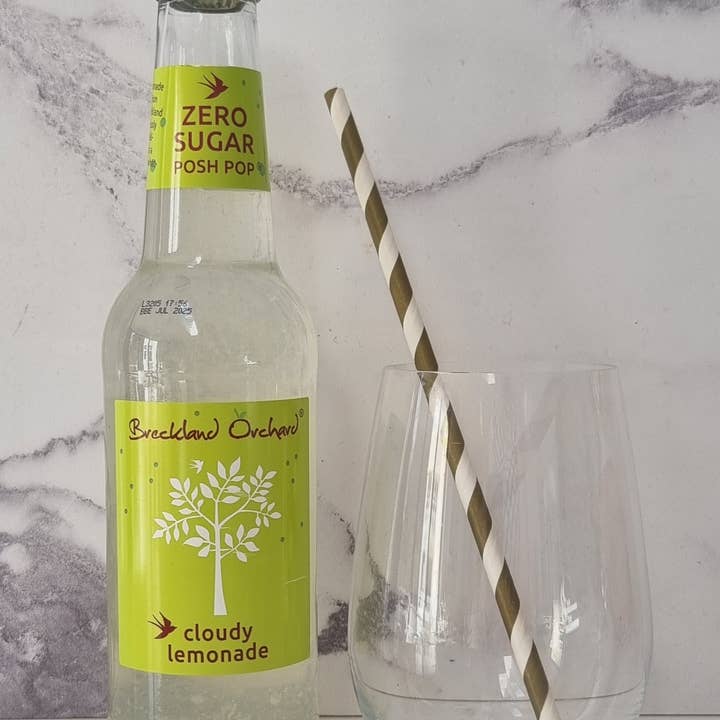Breckland Orchard – wholesale Flavoured/infused water (non-carbonated) – ZERO Sugar Cloudy Lemonade Posh Pop 12 x 275ml