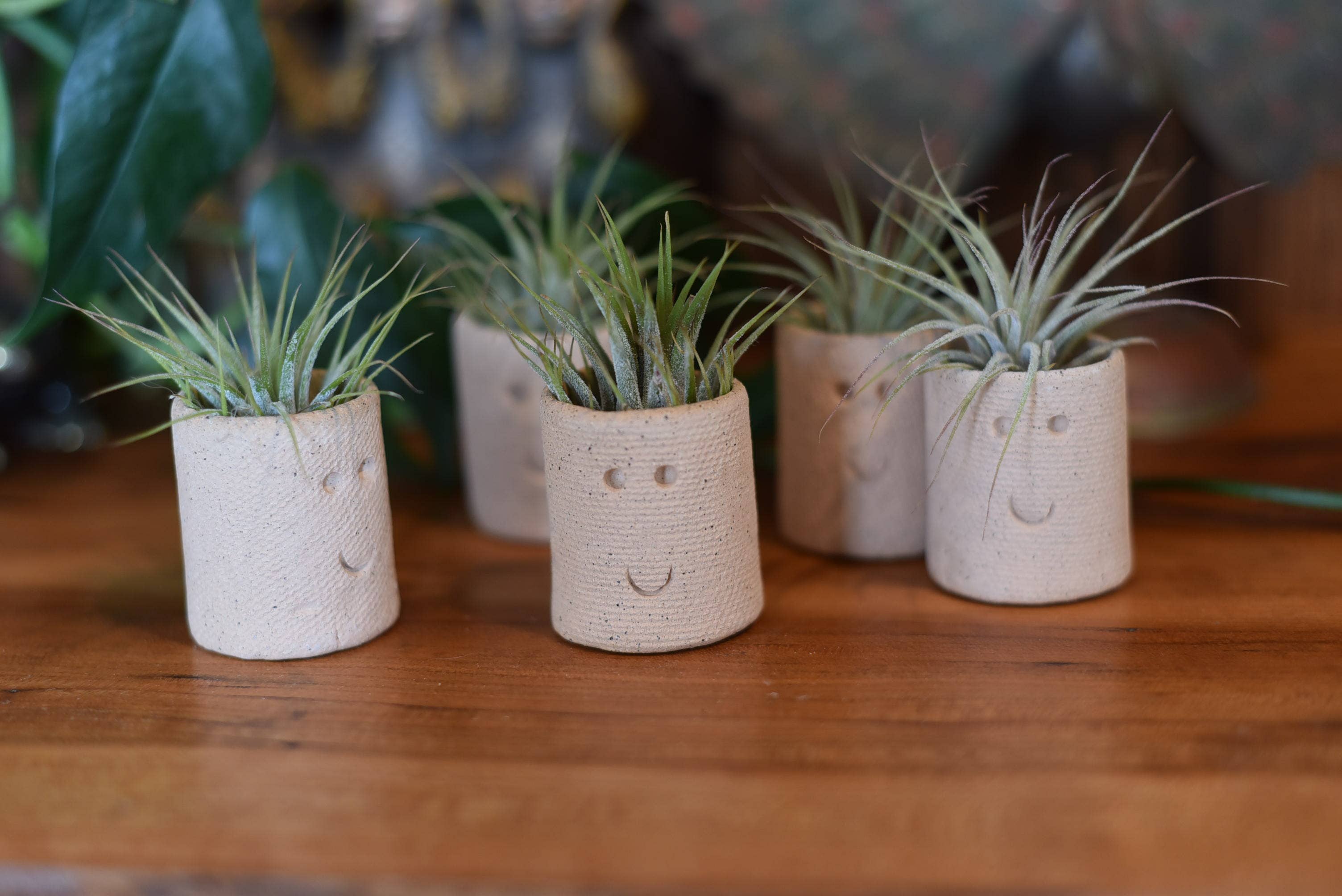 Mud & Maker - Wholesale Plant Pot - Air Plant Little Buddies - Smiles 2