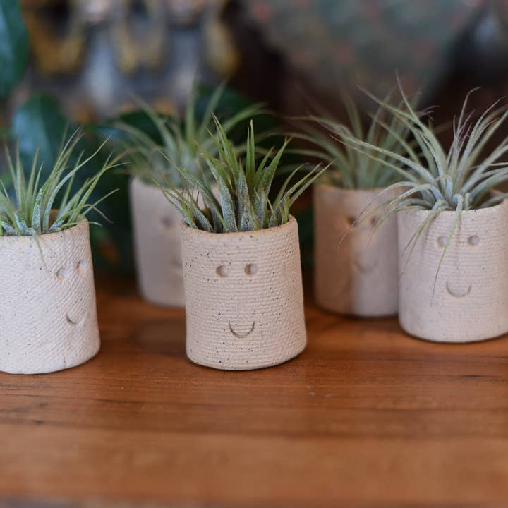 Mud & Maker - Wholesale Plant Pot - Air Plant Little Buddies - Smiles 2