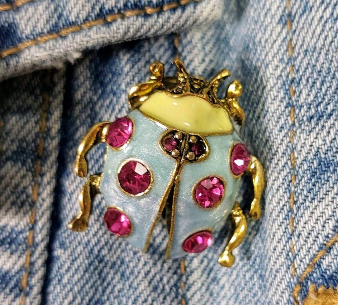 Wild & Free - Wholesale Brooch - Broche de mariquita2