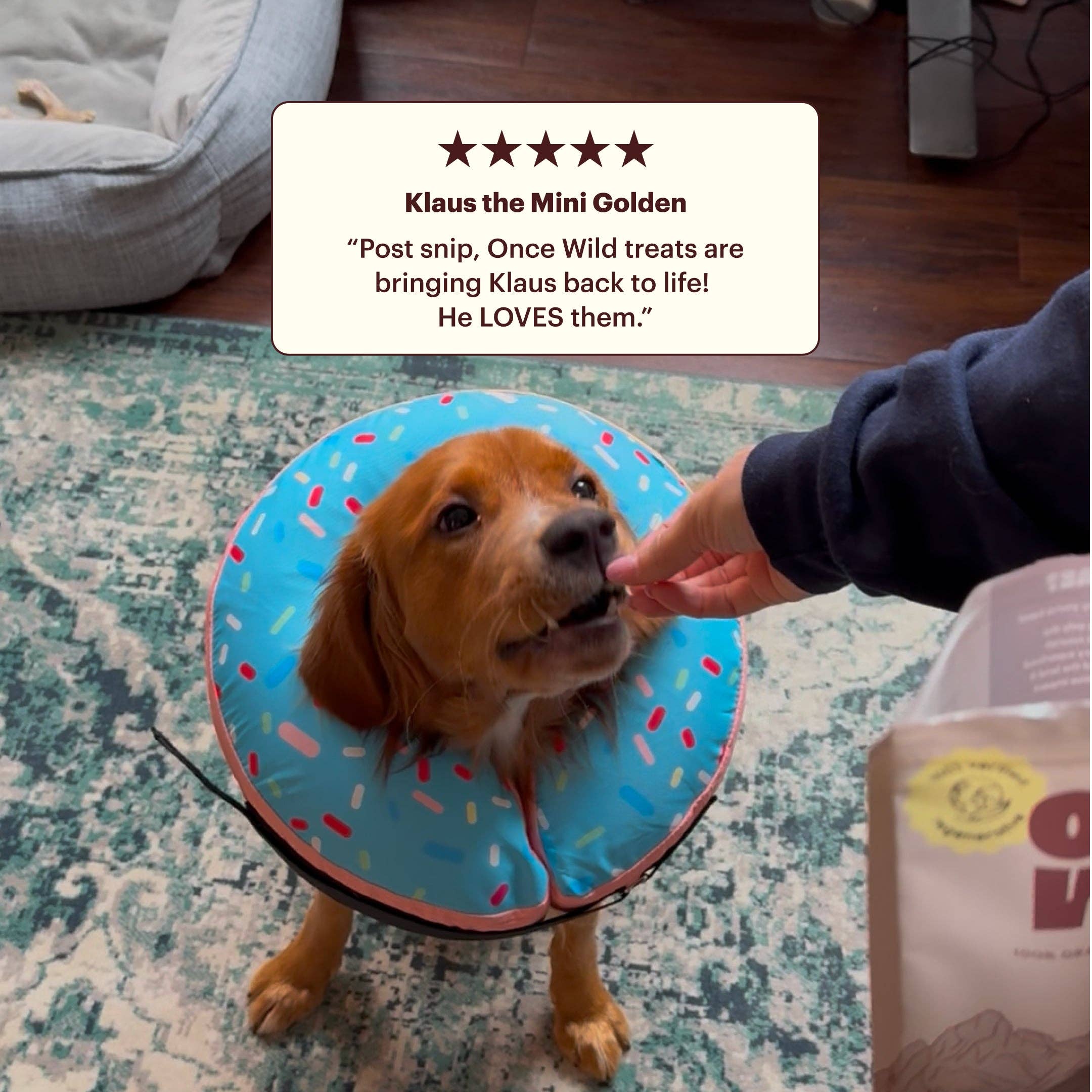 Once Wild - Wholesale Pet Treats - Dog - 100% Bison Liver Treats2