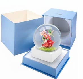 CoolSnowGlobes - Vente Boule à neige - Boule à neige Colibri - NOUVEAU !1