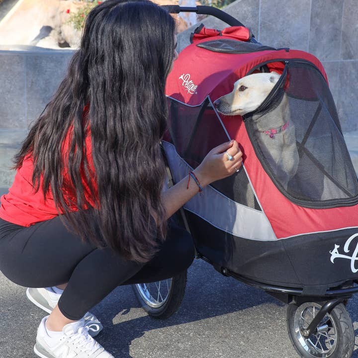 Only An Ocean Europe - Wholesale Pet Carrier - Cat/Dog - Petique Trailblazer Pet Jogger31