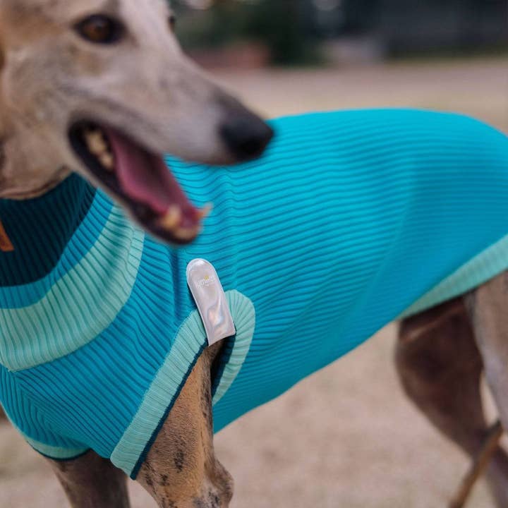 CRYSTAL SKY THE GLOW JUMPER (knitted dog sweater, blue) for wholesale on Faire6