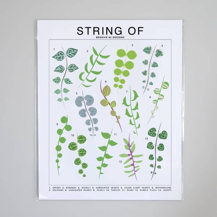 Tableau d'identification de la chaîne d'espèces - Impression d'art botanique pour plantes d'intérieur pour la vente par Beehive 95 Designs