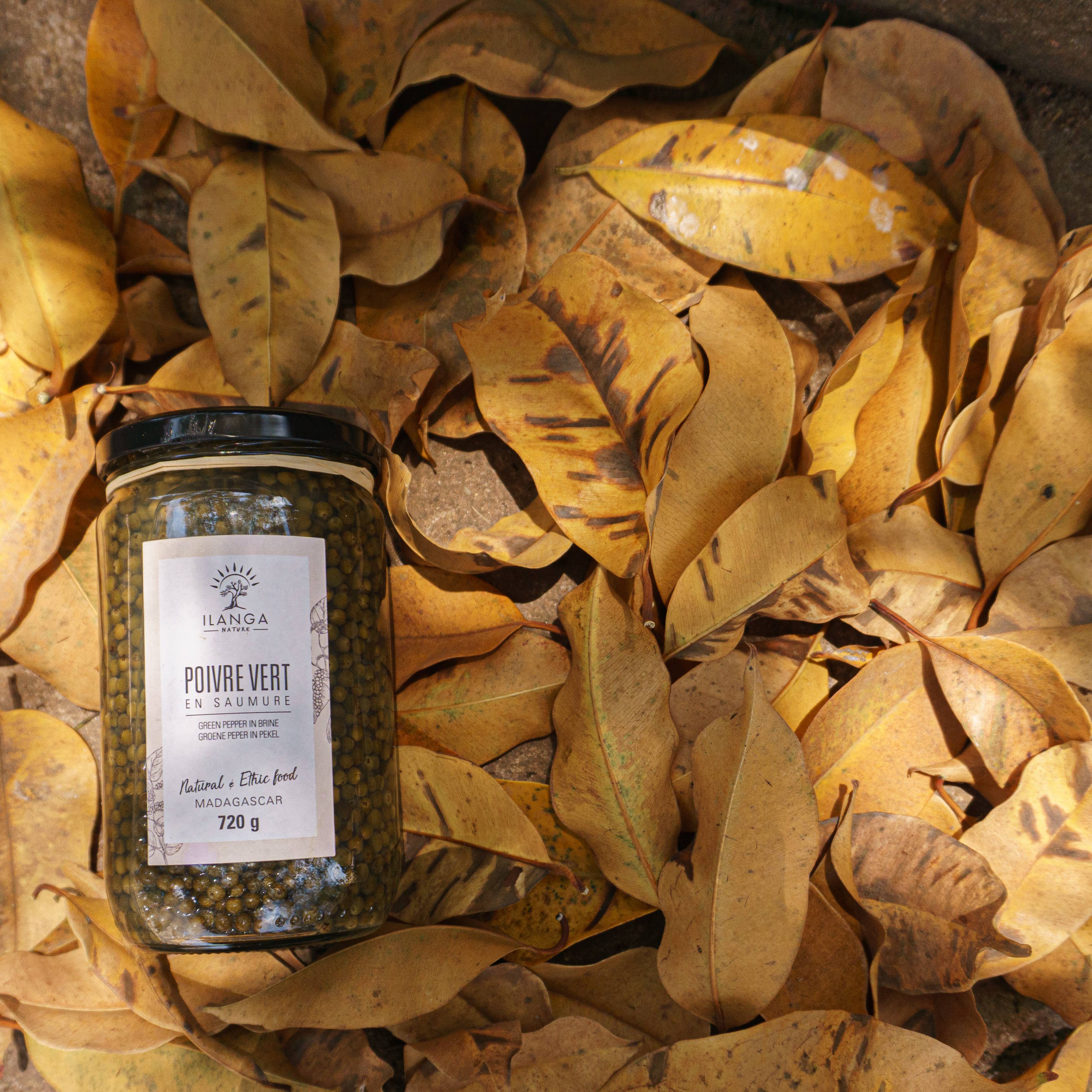 Ilanga Nature - Wholesale Dried Spice - Green Pepper in Brine 720g4