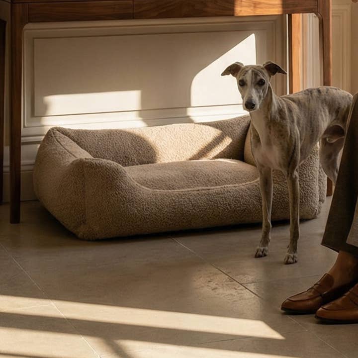 Tuileries - Panier chien orthopédique en tissu bouclette pour la vente par BAGANE