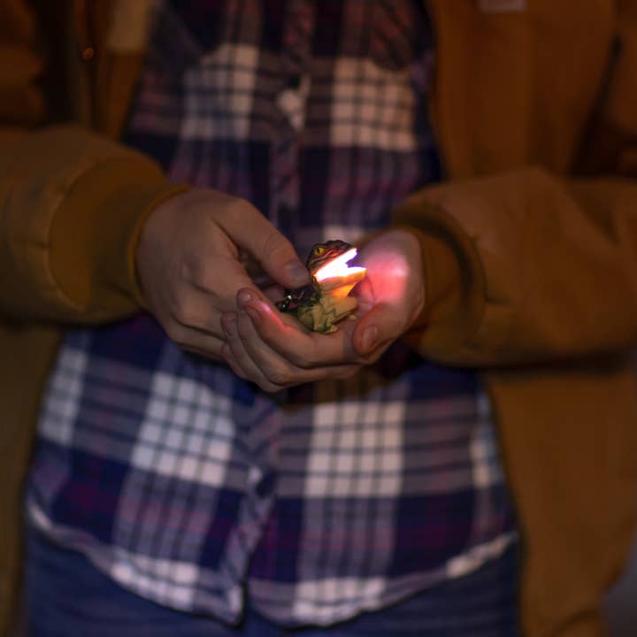 Sun Company / Big Discoveries - Wholesale Light-Up Toy - Kids & Baby - WildLight Animal Carabiner Flashlight - Green T-Rex3