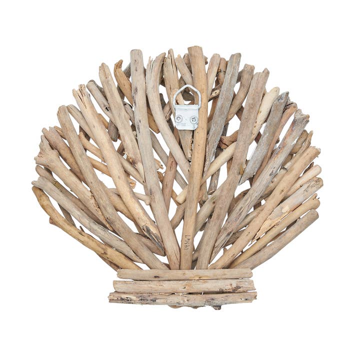 Beachcombers - Wholesale Wall Accent - Driftwood Clam Shell Wall Decor