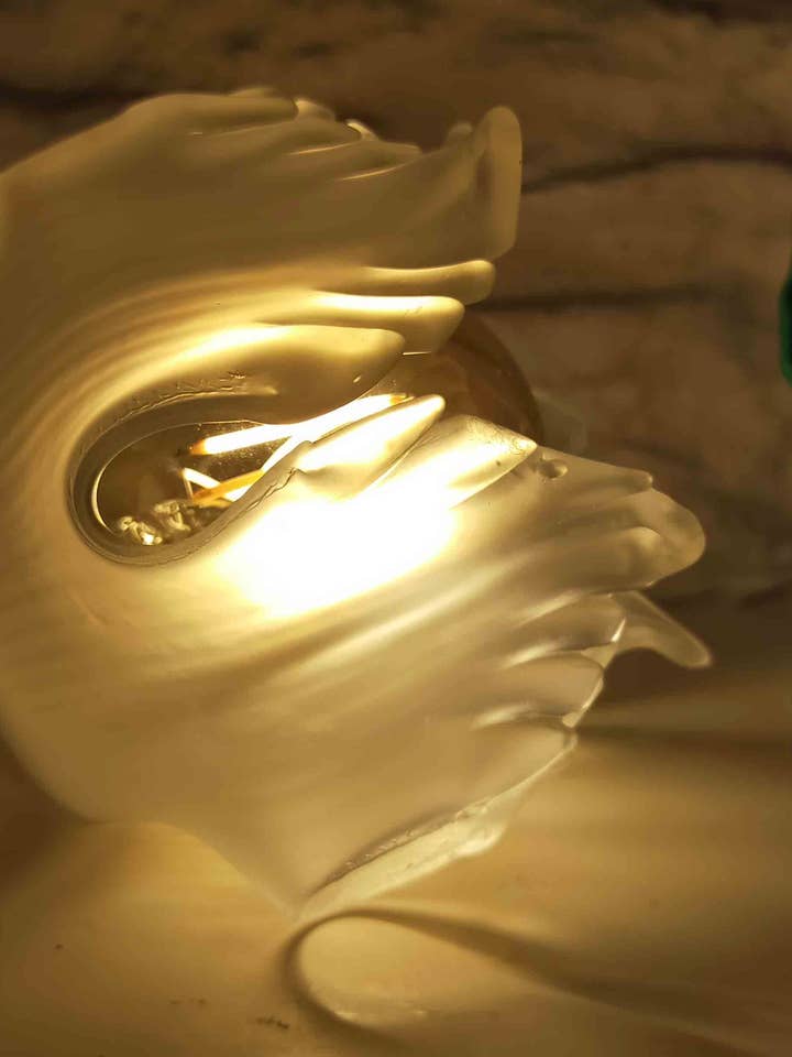 Tulipano opaco con 5 petali striati per la vendita all'ingrosso da parte di Le Siècle des Lumières