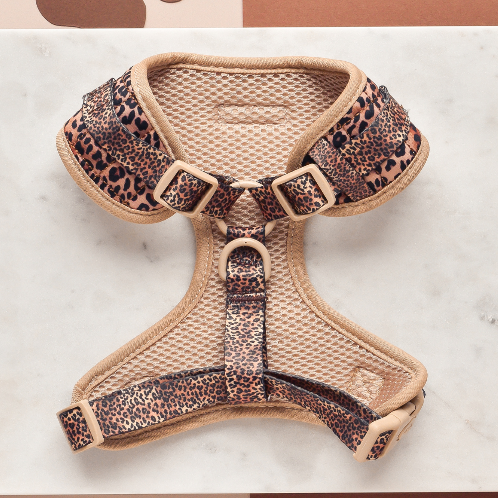 Cocopup London - Wholesale Pet Harness - Dog - Quilted Leopard Pup Adjustable Neck Harness2