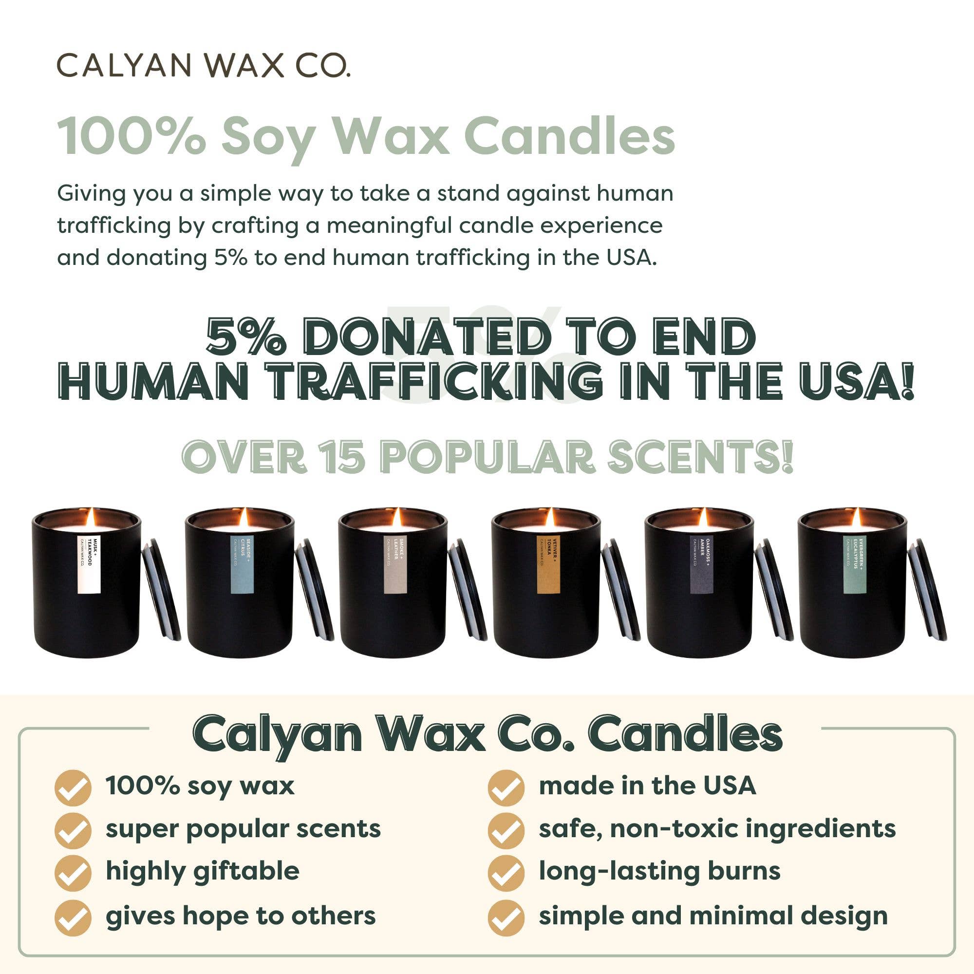 Calyan Wax Co. - Wholesale Jar/Filled Candle - Desert + Agave - Matte Black Tumbler Soy Candle5