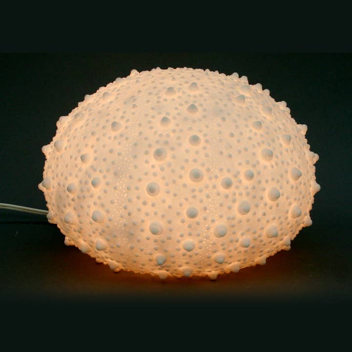 Modern World by Contrast Inc. – wholesale Accent/desk lamp – Sandstone Sea Urchin Lamp