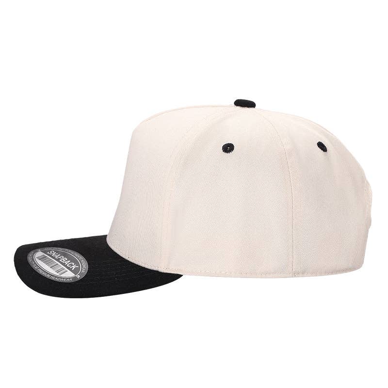Burzip collection - Wholesale Baseball Cap - Unisex - TCS-DZ-TWILL CROWN, SUEDE BILL 12PCS/DZ15