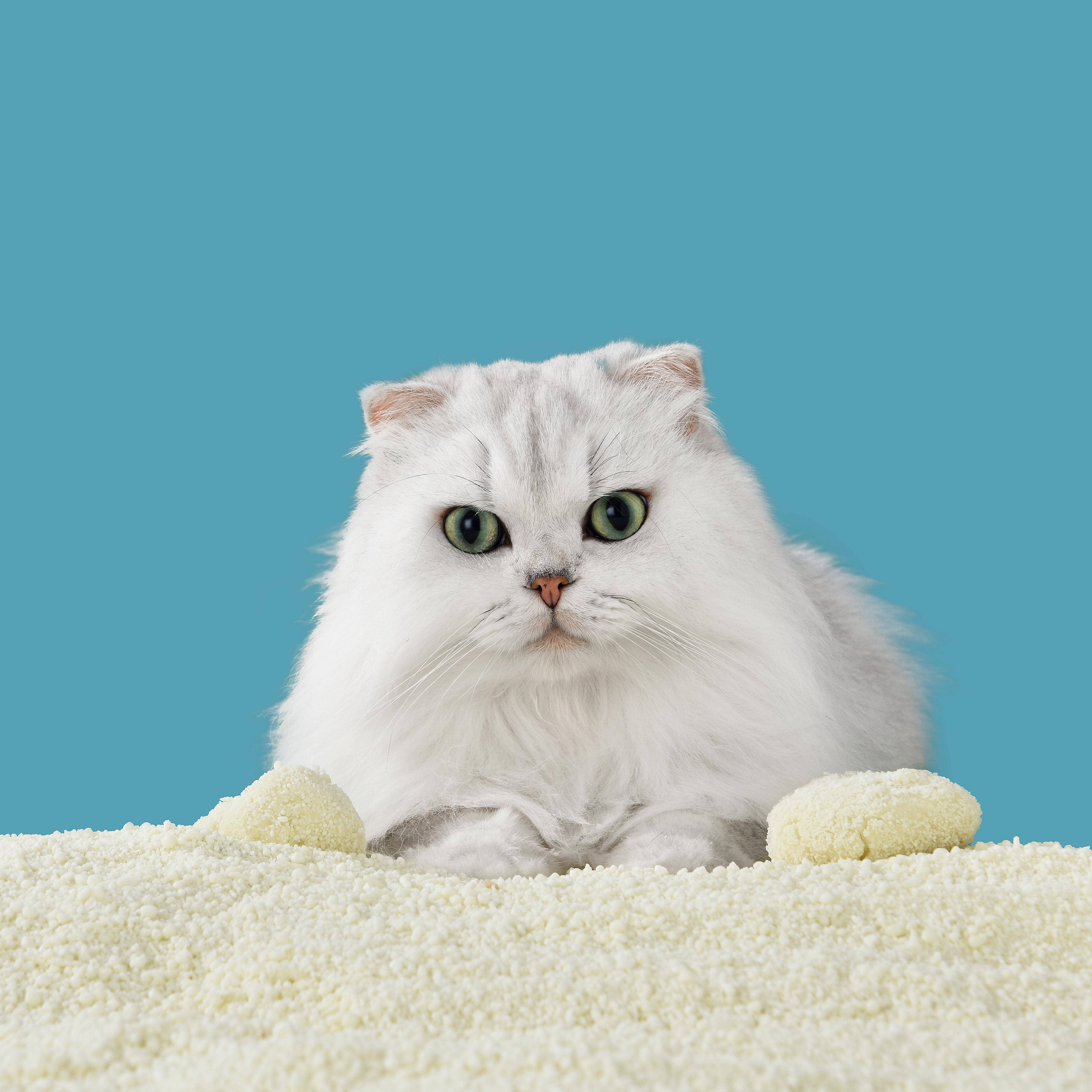 MichuPet - Wholesale Cat Litter - Michu Wonder Litter - Plant-Based & Automatic-Box Friendly 52