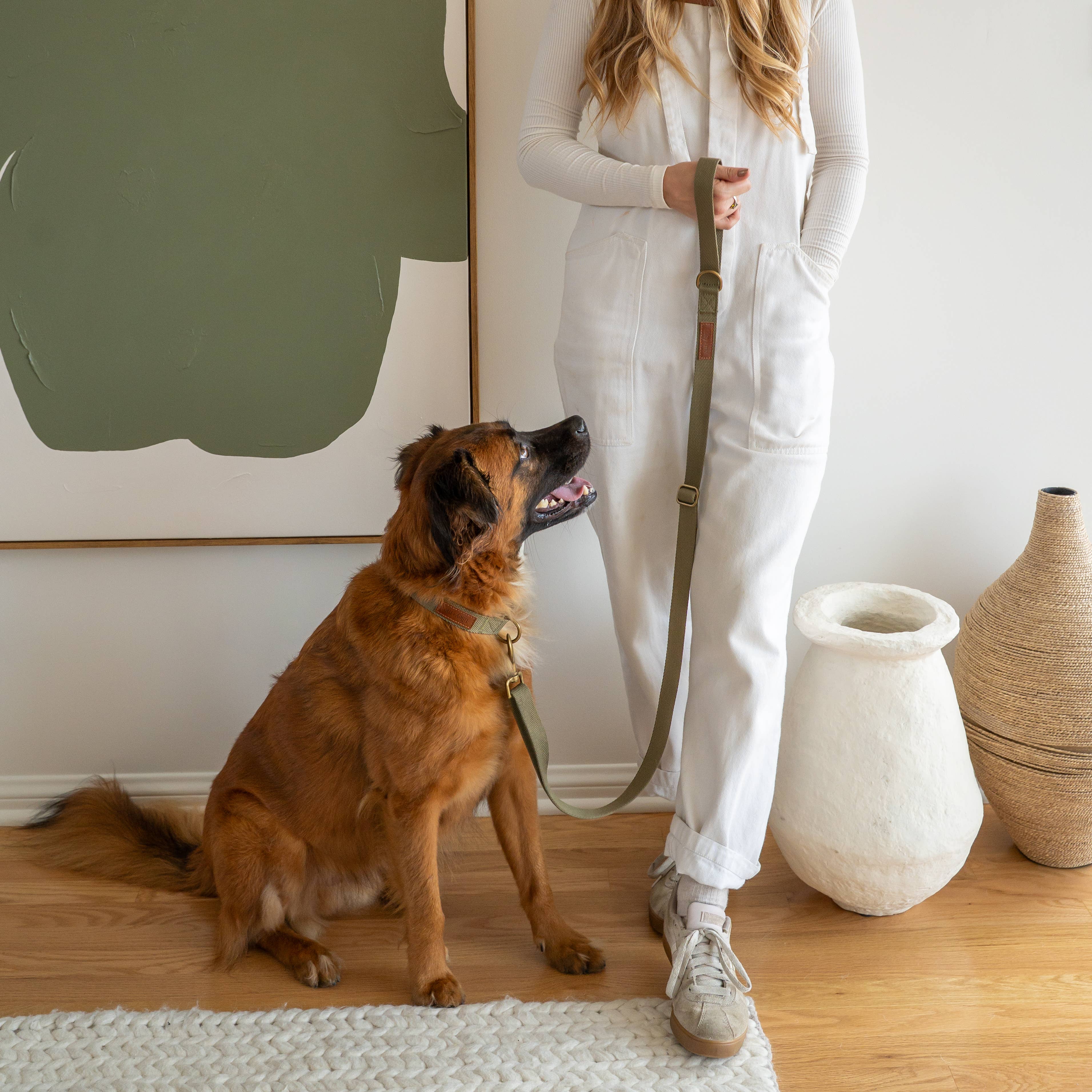 Tilley + Me - Wholesale Pet Leash - Dog - Hemp Cotton Dog Leash - Adjustable & Lightweight33