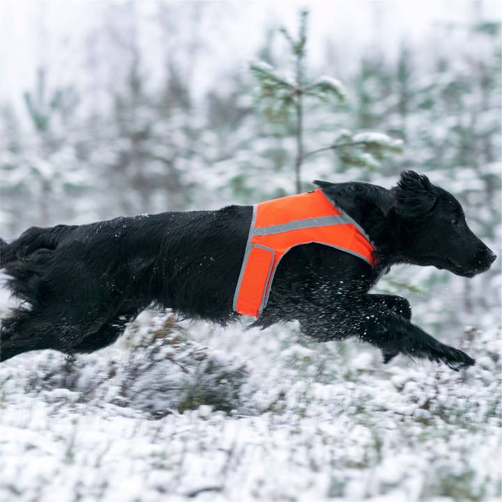 FINNERO - Wholesale Pet Vest - Dog - FINNERO ATTE Reflective Dog Attention Vest, 3 colors11