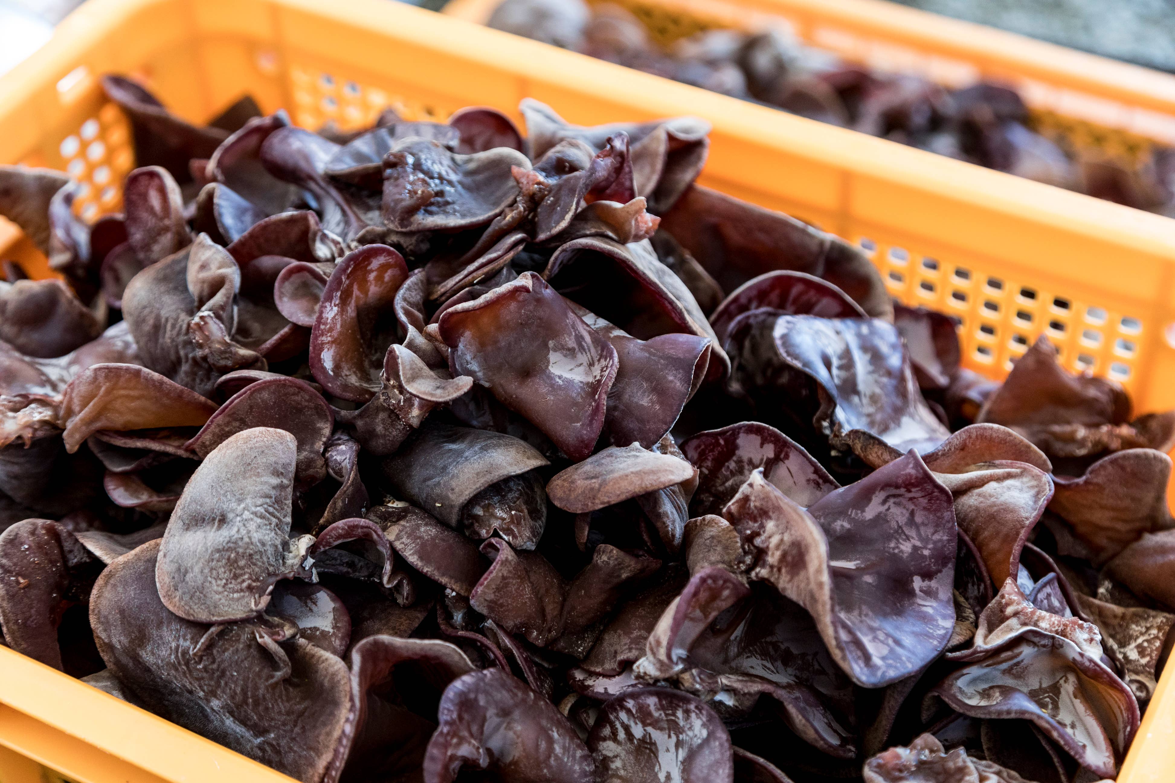 Japan Artisans - Wholesale Dried/dehydrated vegetables - Kasugai-Dried Wood Ear Mushrooms 14g – Organic - Japan8