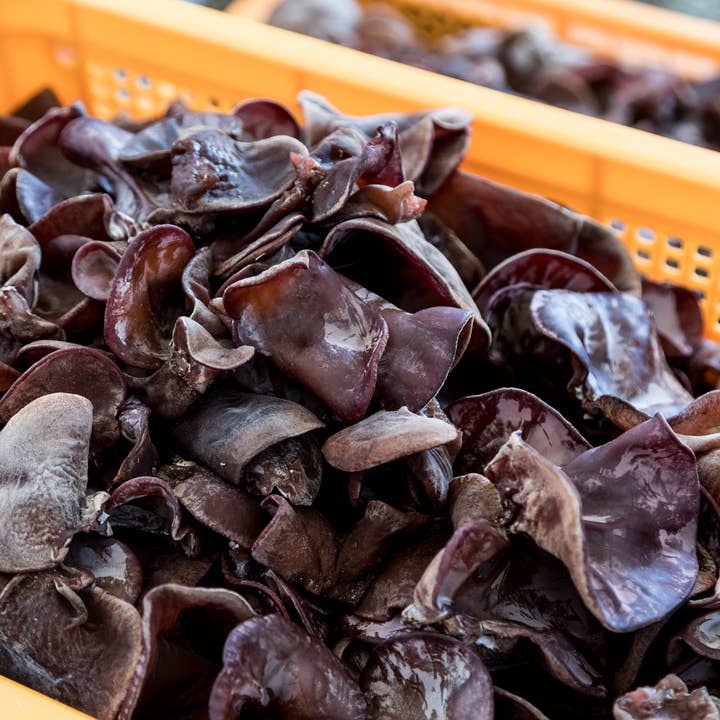 Japan Artisans - Wholesale Dried/Dehydrated Vegetables - Kasugai-Dried Wood Ear Mushrooms 14g – Organic - Japan8