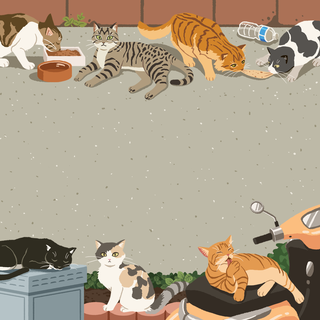 Lucky Dewdrop Designs - Wholesale Notepad - Street Cats Memo Pad1