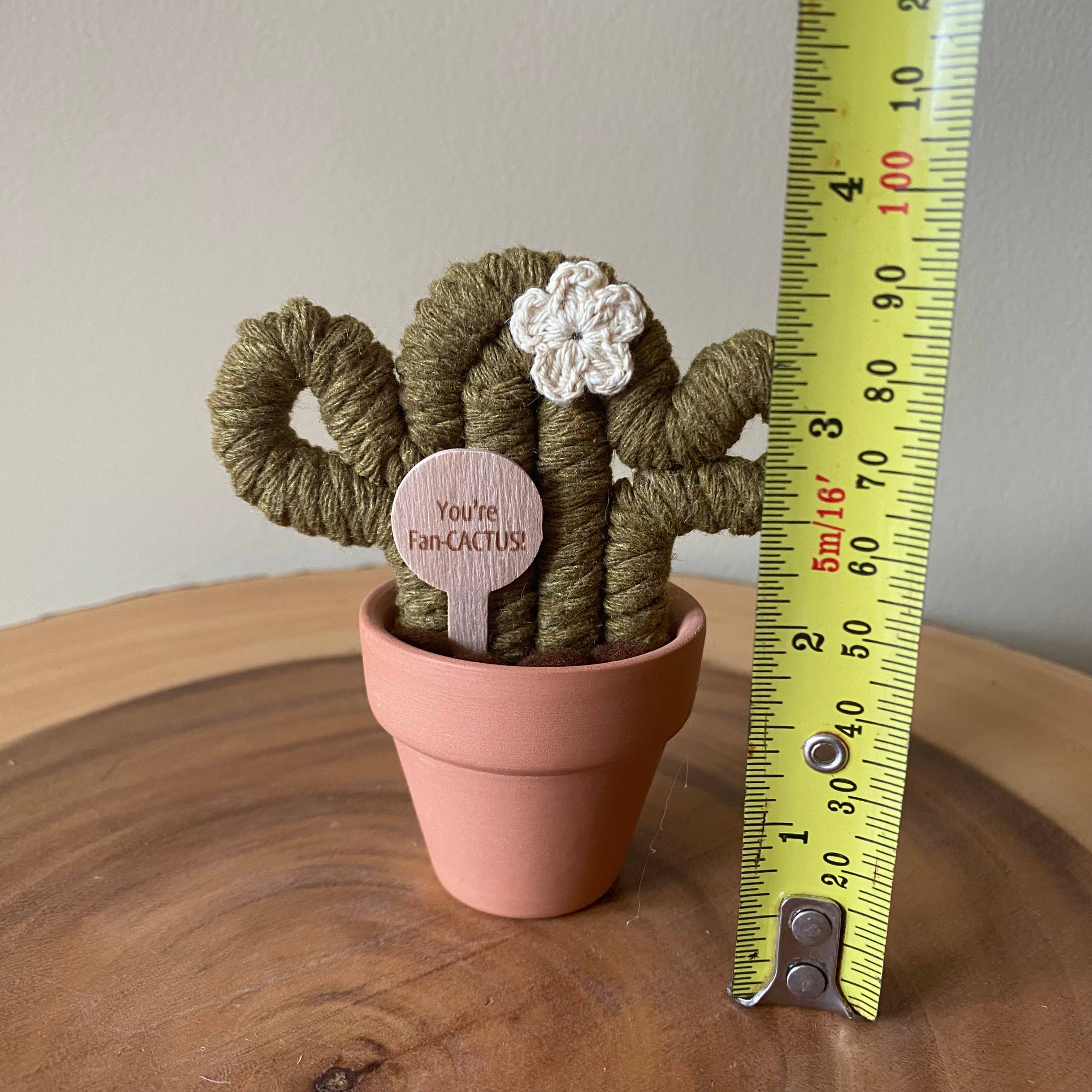 ForgetBKnot - Vente Plantes artificielles - « Tu es fan-cactus » & Merci Cactus en macramé fait main1