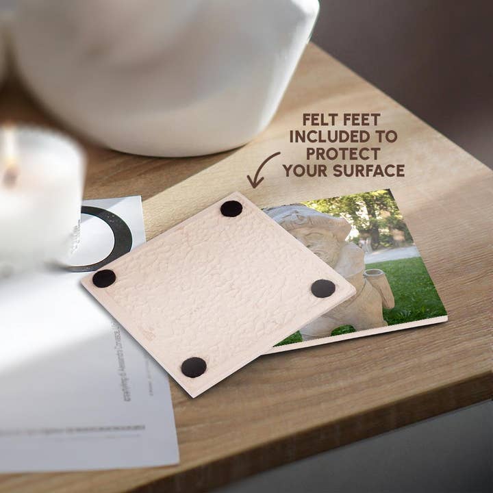 3dRose - Wholesale Coffee Mug - 3dRose, Salzburg, Austria. Oldest dwarf garden in Europe built around 1695., Coaster3